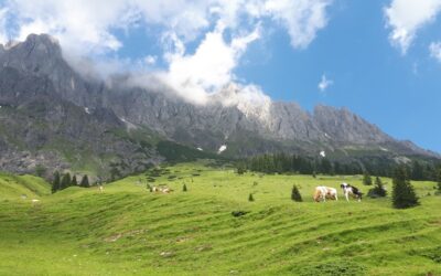 Het weer in de bergen