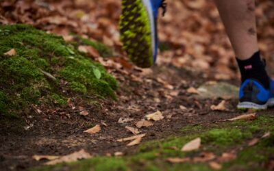 Zo ren jij je eerste trailrun in de bergen