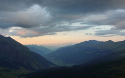 Durf keuzes te maken