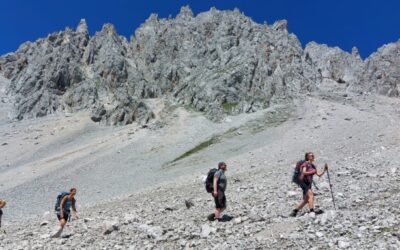 Pas op voor steenslag